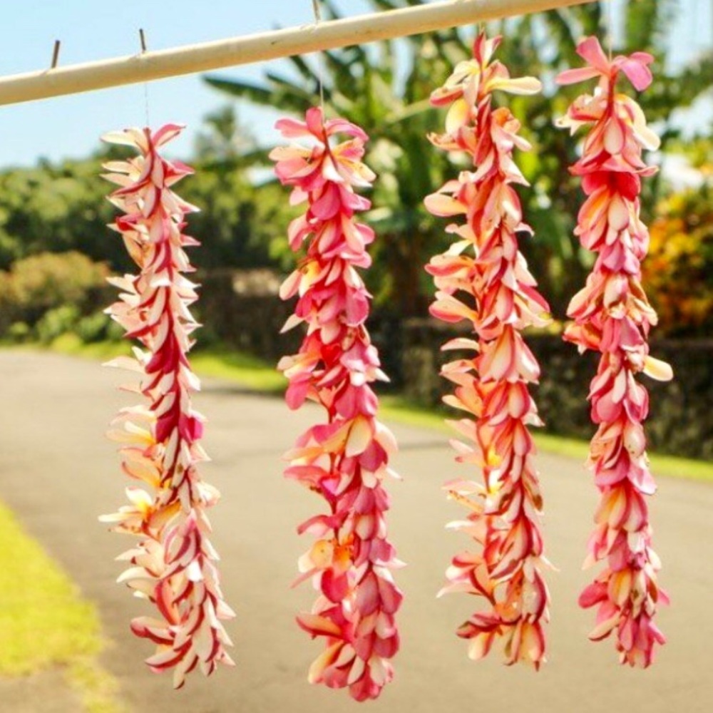 🍹🍍Maui 📷 🌿🌸 🌈 - Picture 3 of 8
